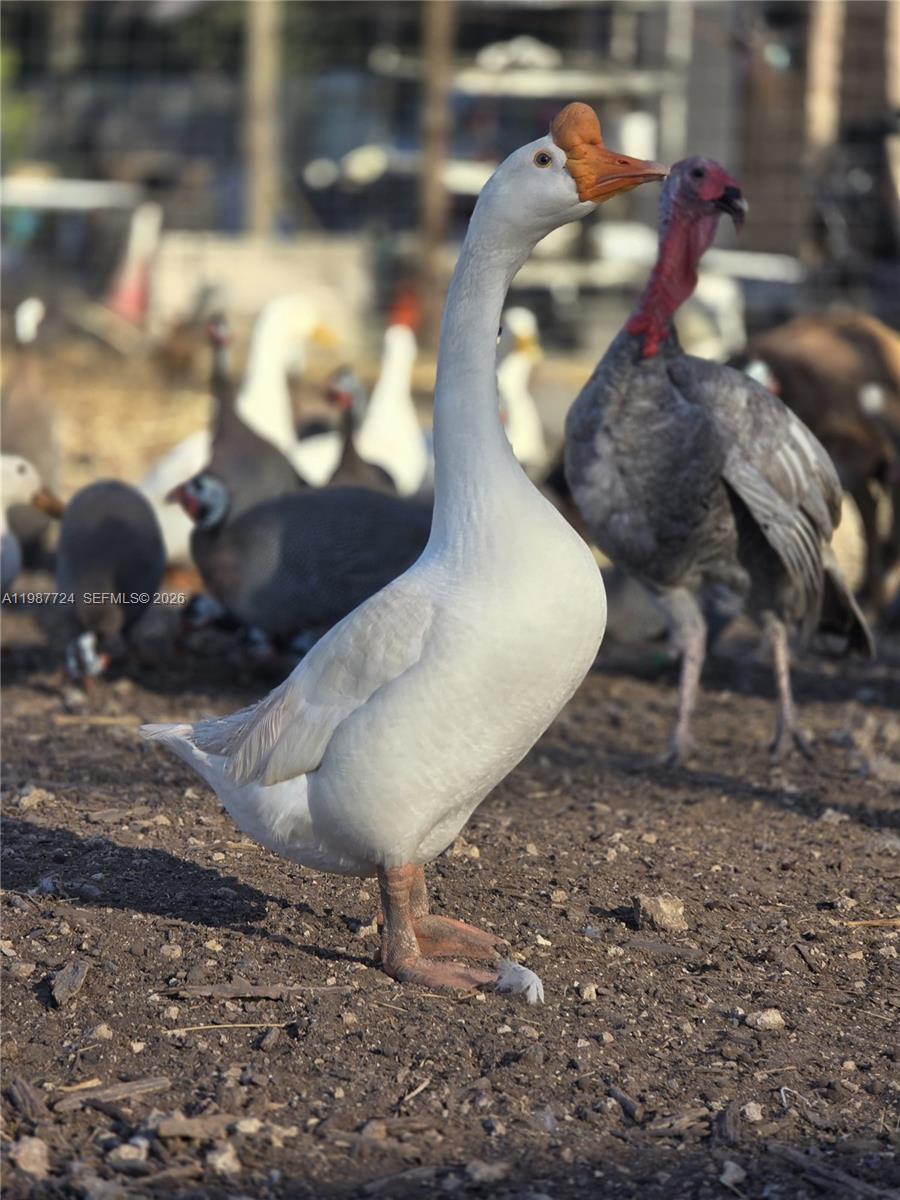   /   кв.футов $ 2026-03-23 0 Фото