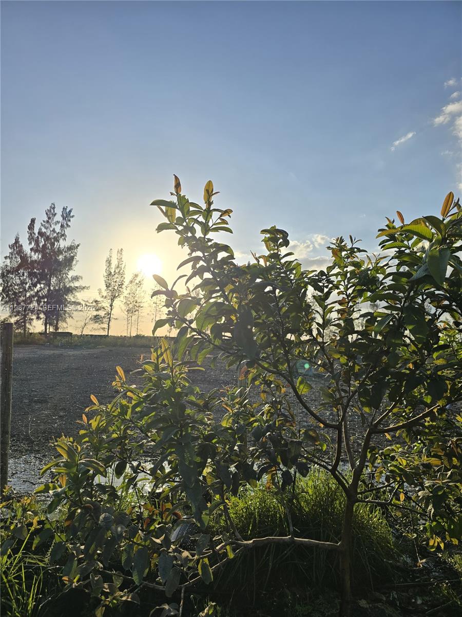   /   кв.футов $ 2026-03-23 0 Фото