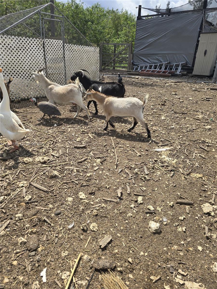   /   кв.футов $ 2026-03-23 0 Фото