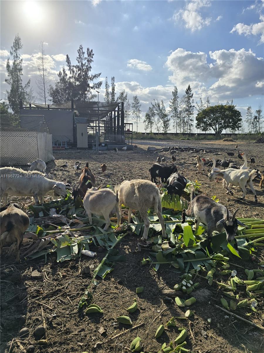   /   кв.футов $ 2026-03-23 0 Фото