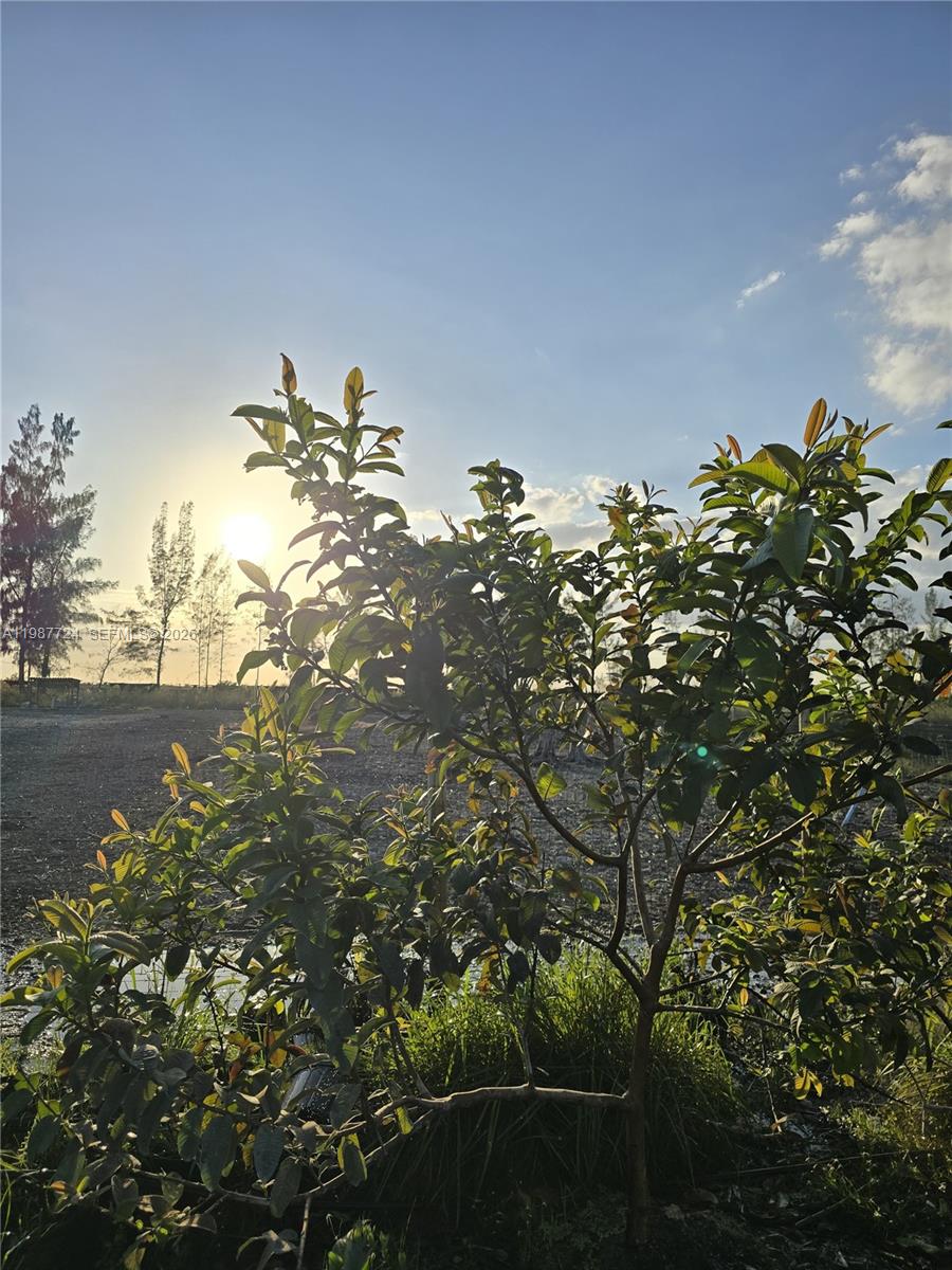   /   кв.футов $ 2026-03-23 0 Фото