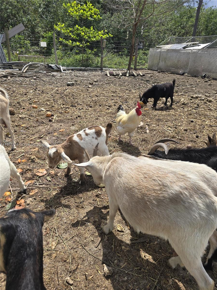   /   кв.футов $ 2026-03-23 0 Фото