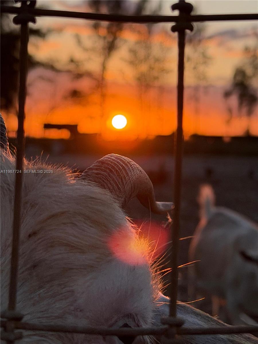   /   кв.футов $ 2026-03-23 0 Фото