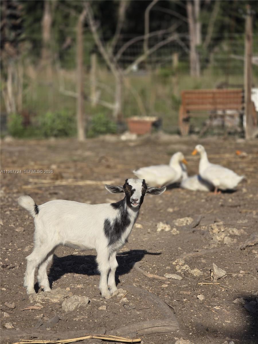   /   кв.футов $ 2026-03-23 0 Фото