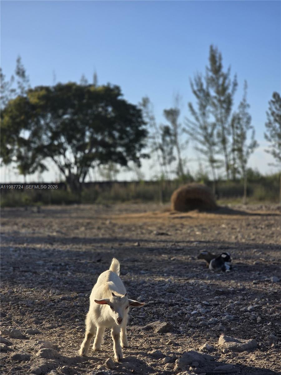   /   кв.футов $ 2026-03-23 0 Фото