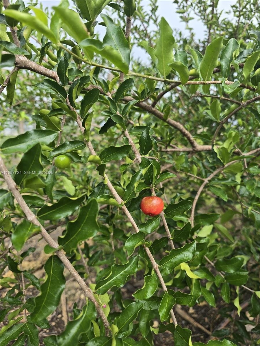   /   кв.футов $ 2026-03-23 0 Фото