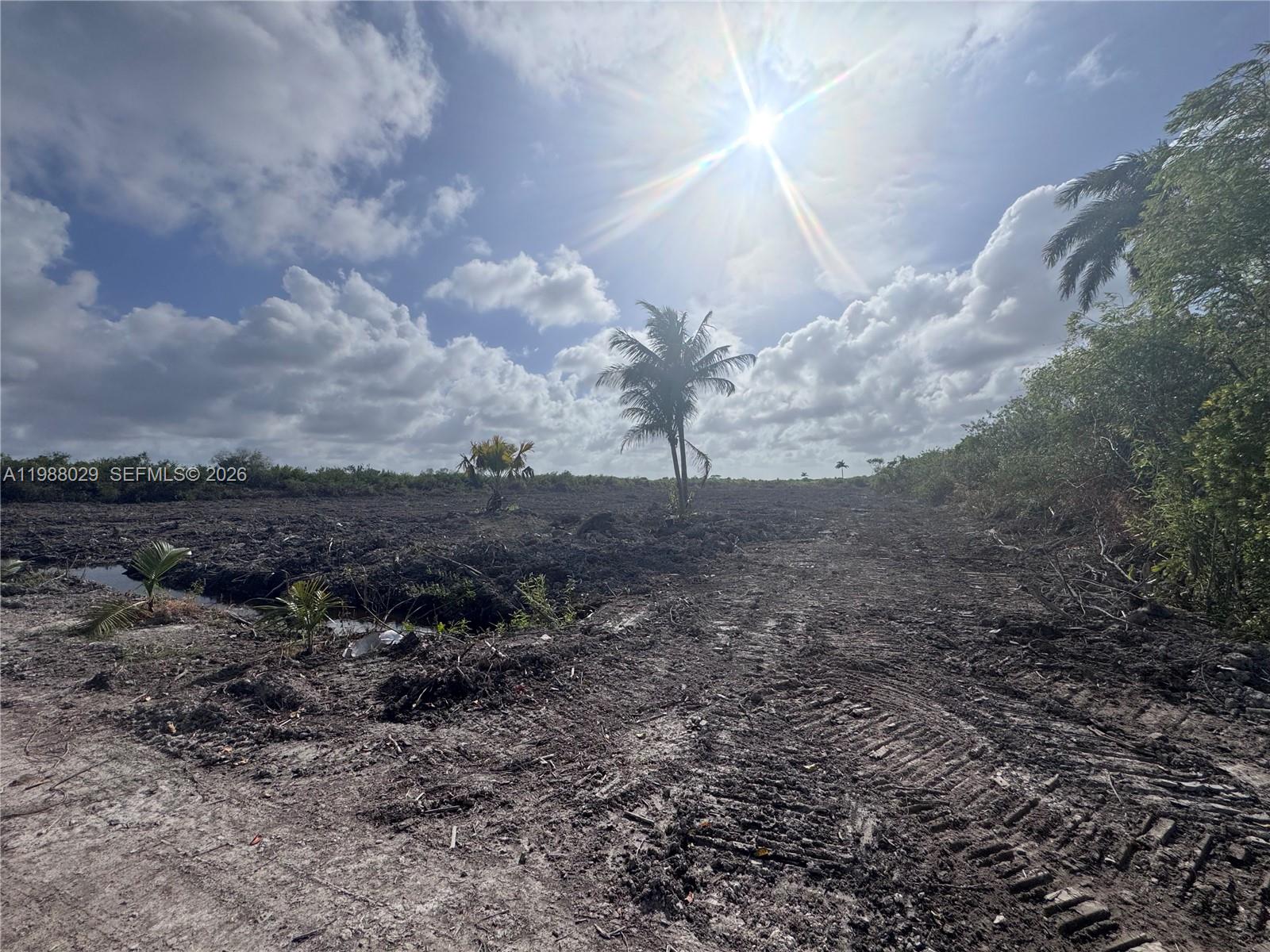   /   кв.футов $ 2026-04-13 0 Фото