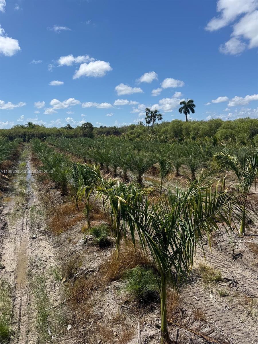   /   sq. ft. $ 2026-03-23 0 foto