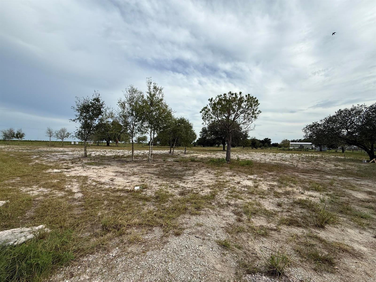 See details / 0 sq. ft. $ 2026-10-13 0 Photo