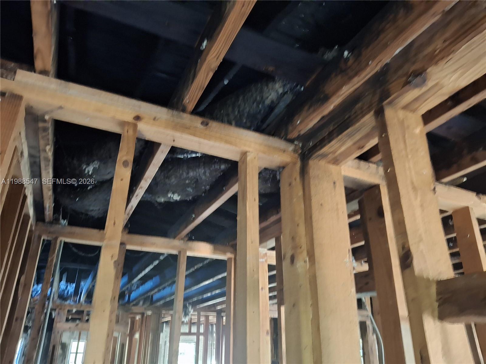 1561 0 / 0 1667 sq. ft. $ 2026-03-24 0 Photo