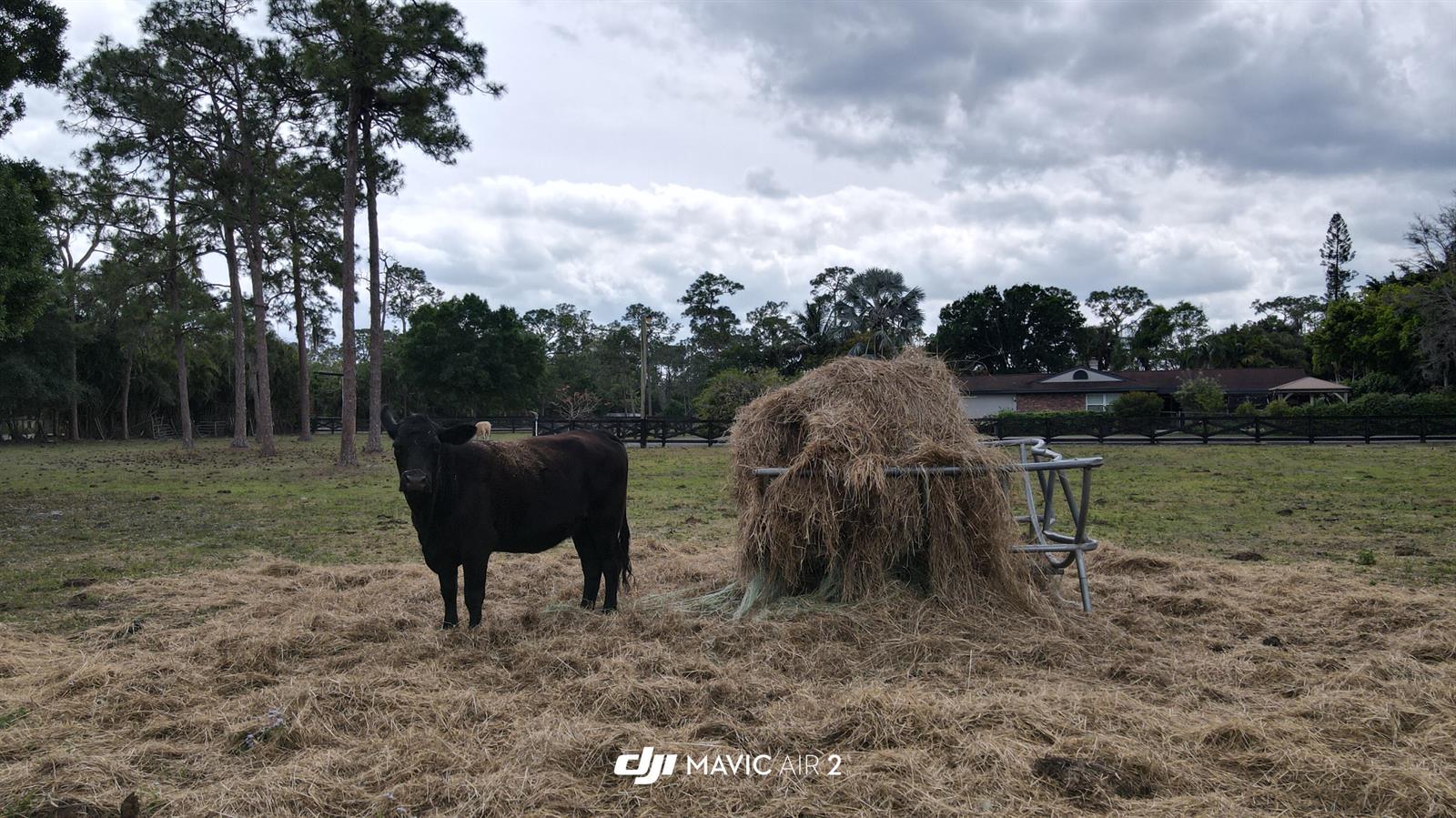   / 0  sq. ft. $ 2026-06-15 0 foto