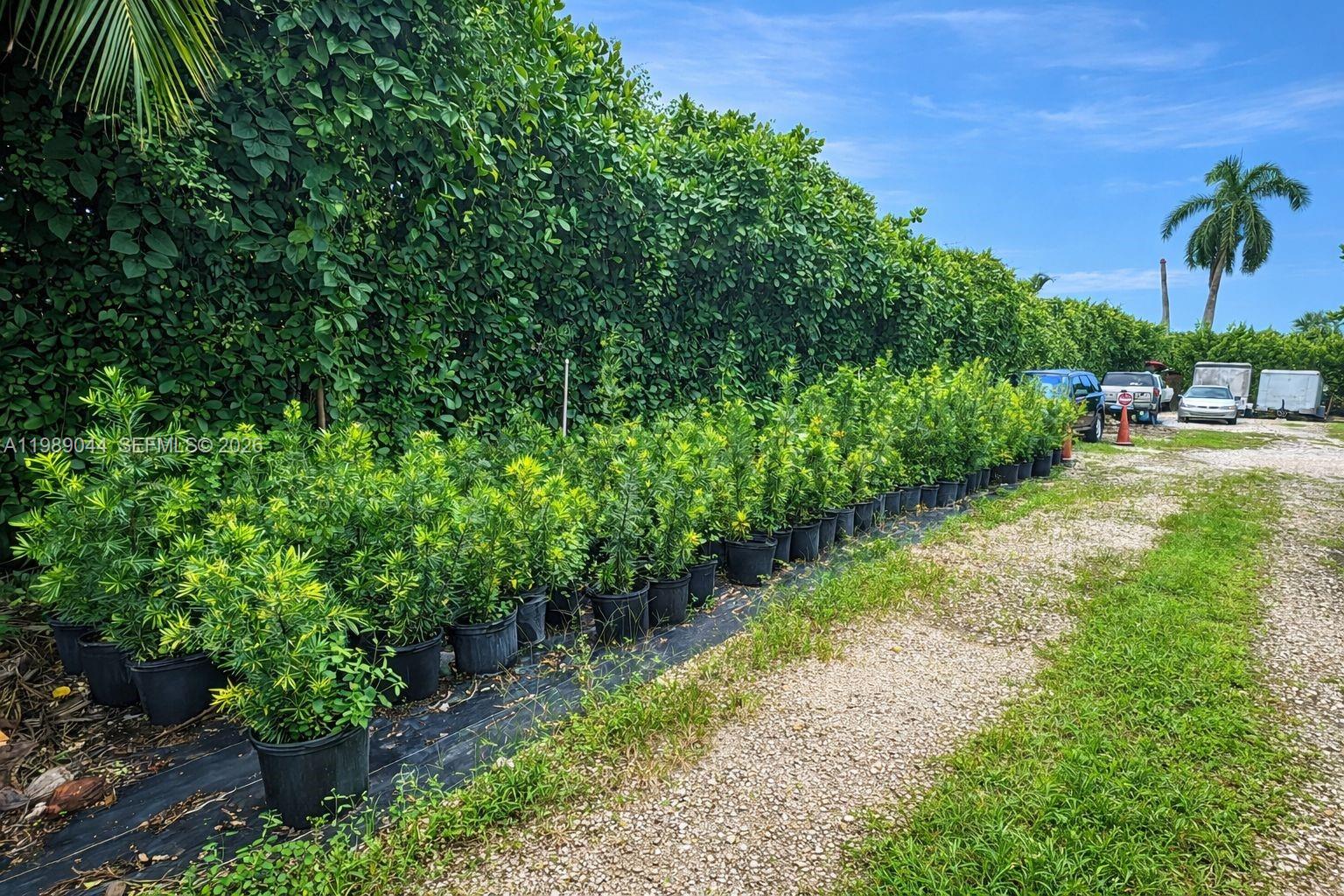 Подробнее / кв.футов $ 2026-03-25 0 Фото