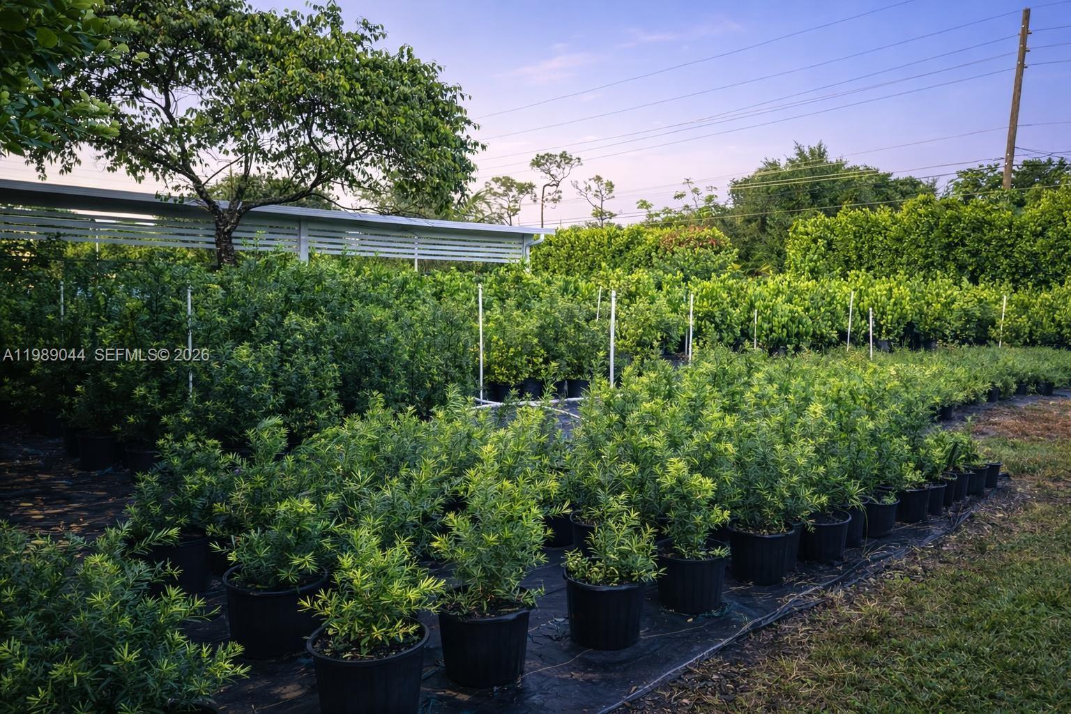 Подробнее / кв.футов $ 2026-03-25 0 Фото