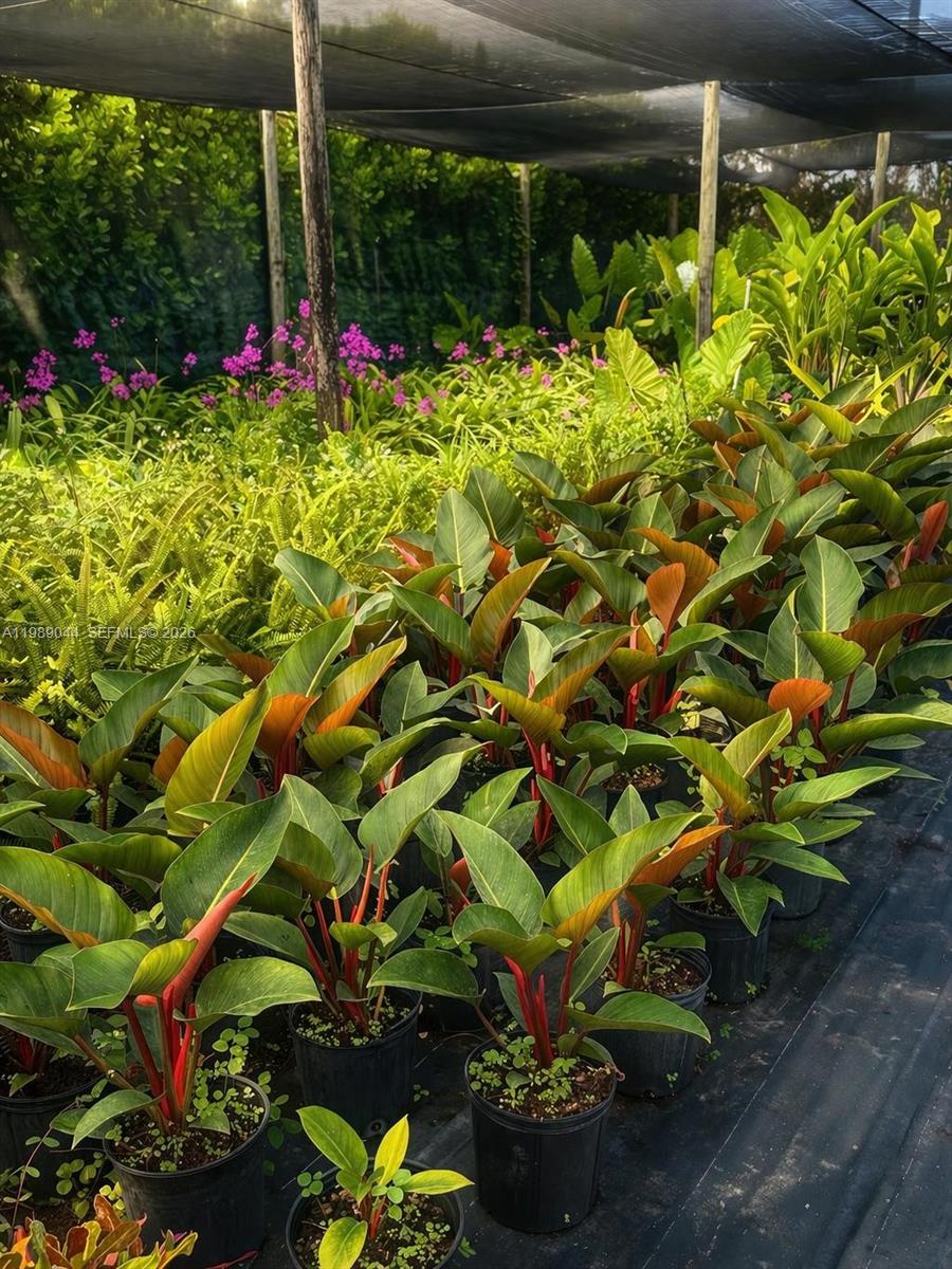 Подробнее / кв.футов $ 2026-03-25 0 Фото