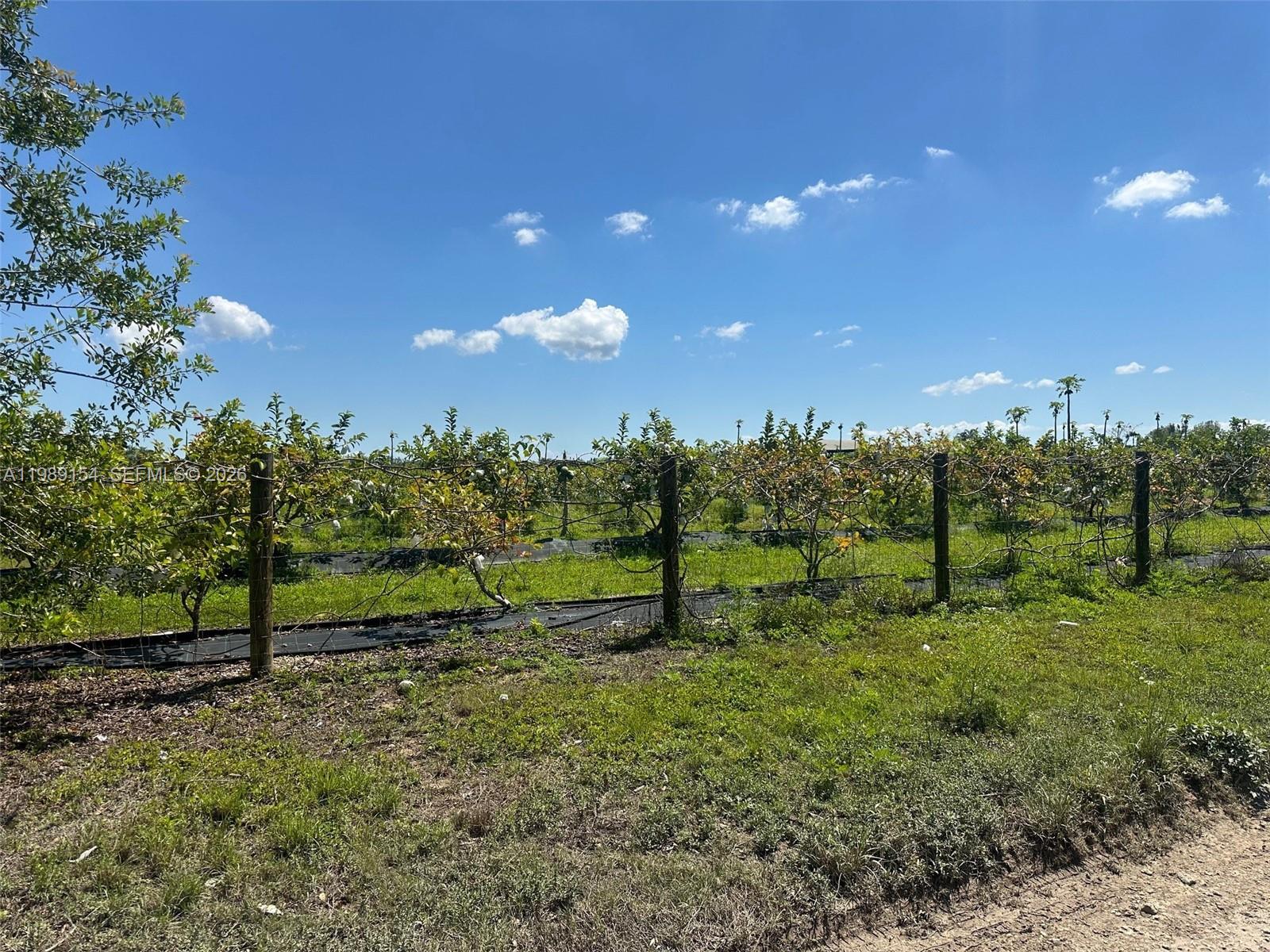   /   кв.футов $ 2026-03-25 0 Фото