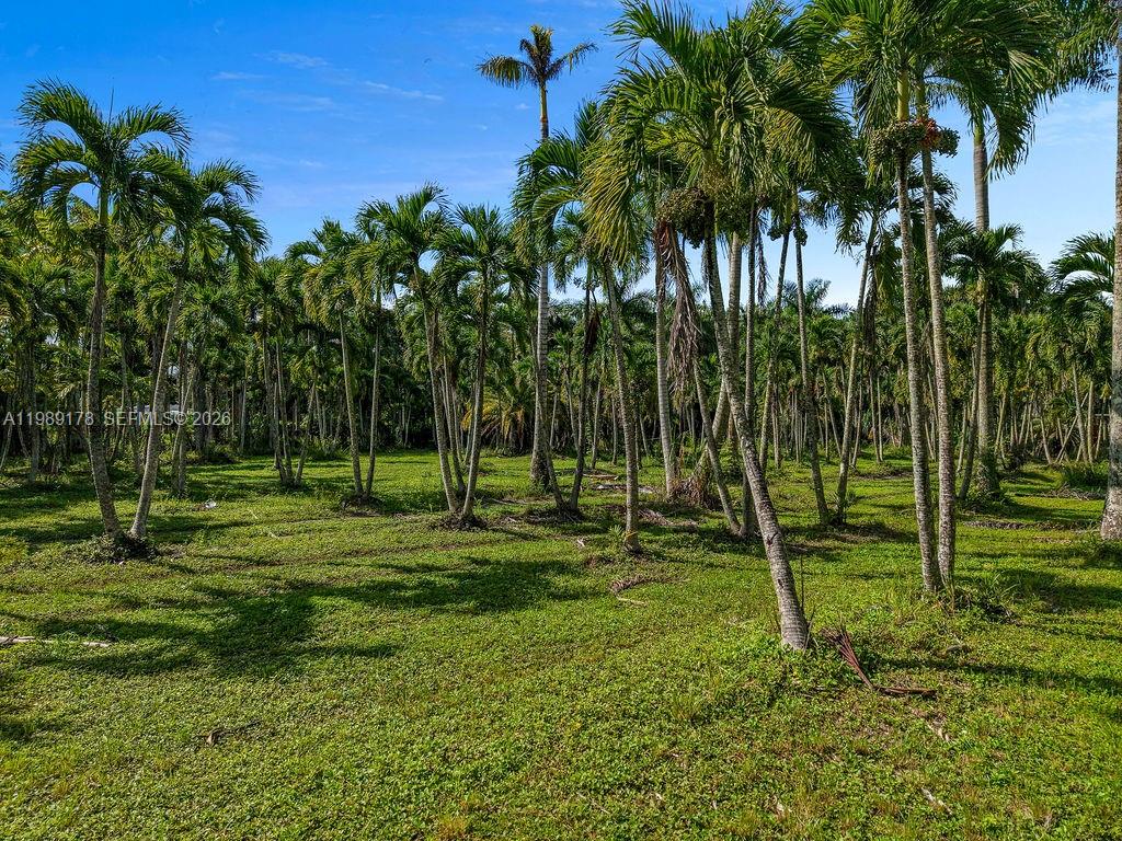   /   кв.футов $ 2026-03-25 0 Фото