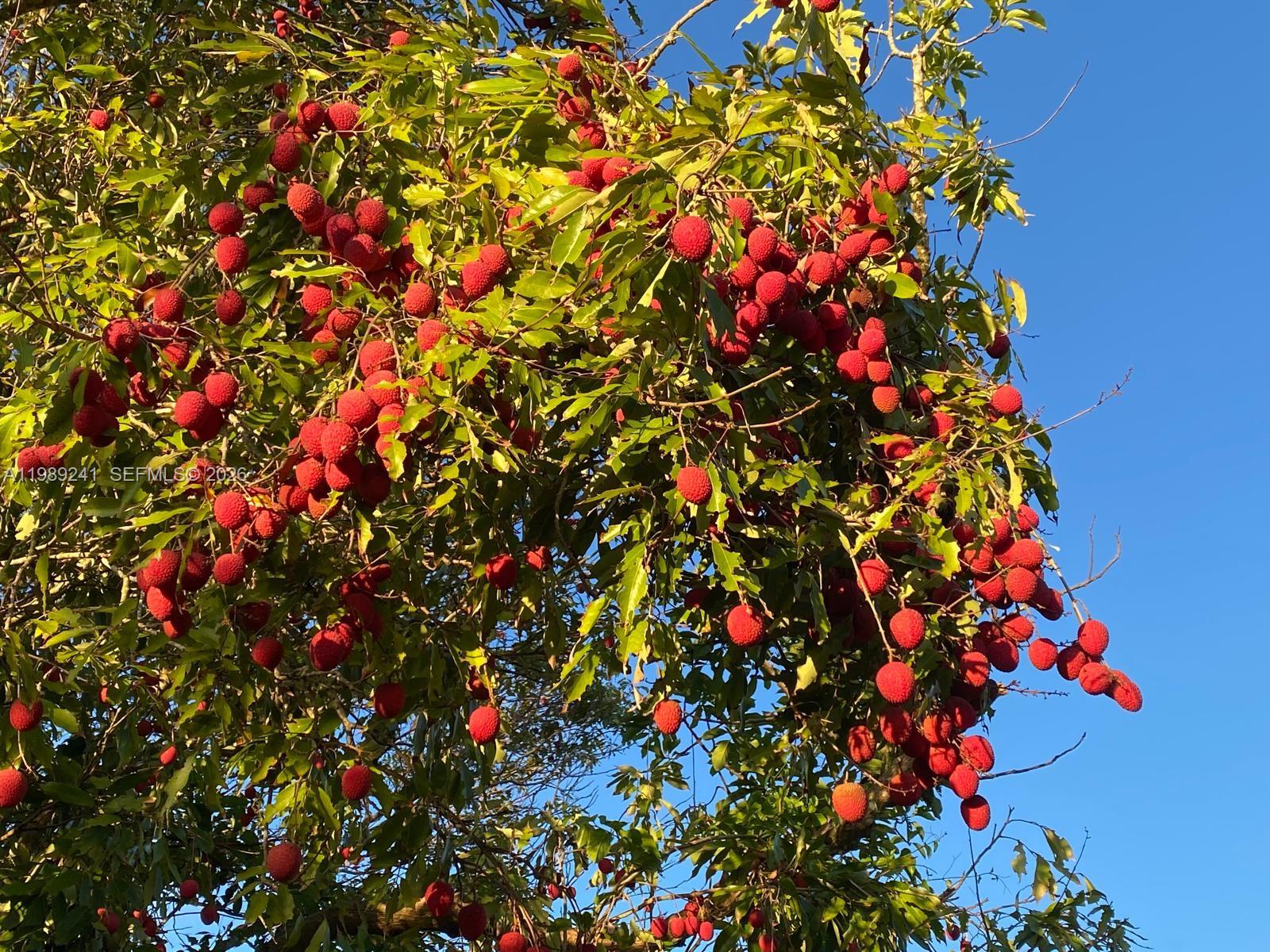   /   sq. ft. $ 2026-03-25 0 foto