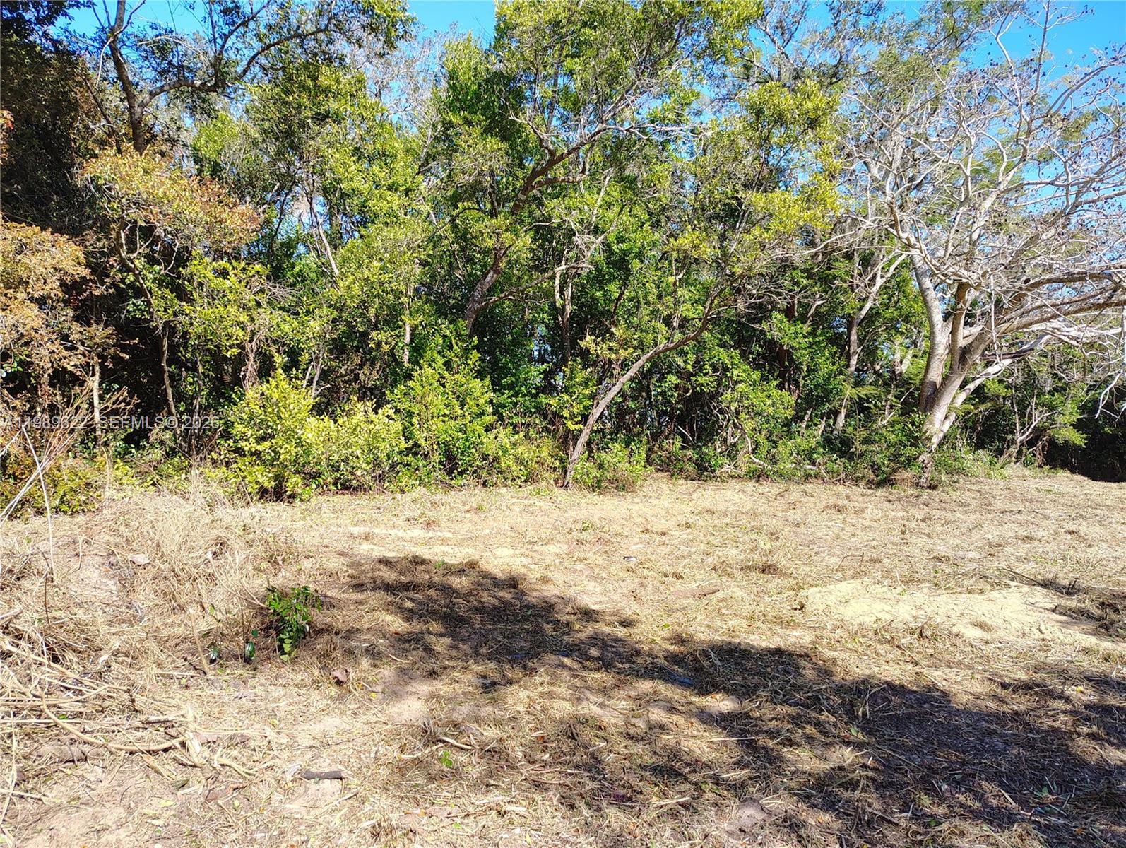 See details / sq. ft. $ 2026-03-25 0 Photo