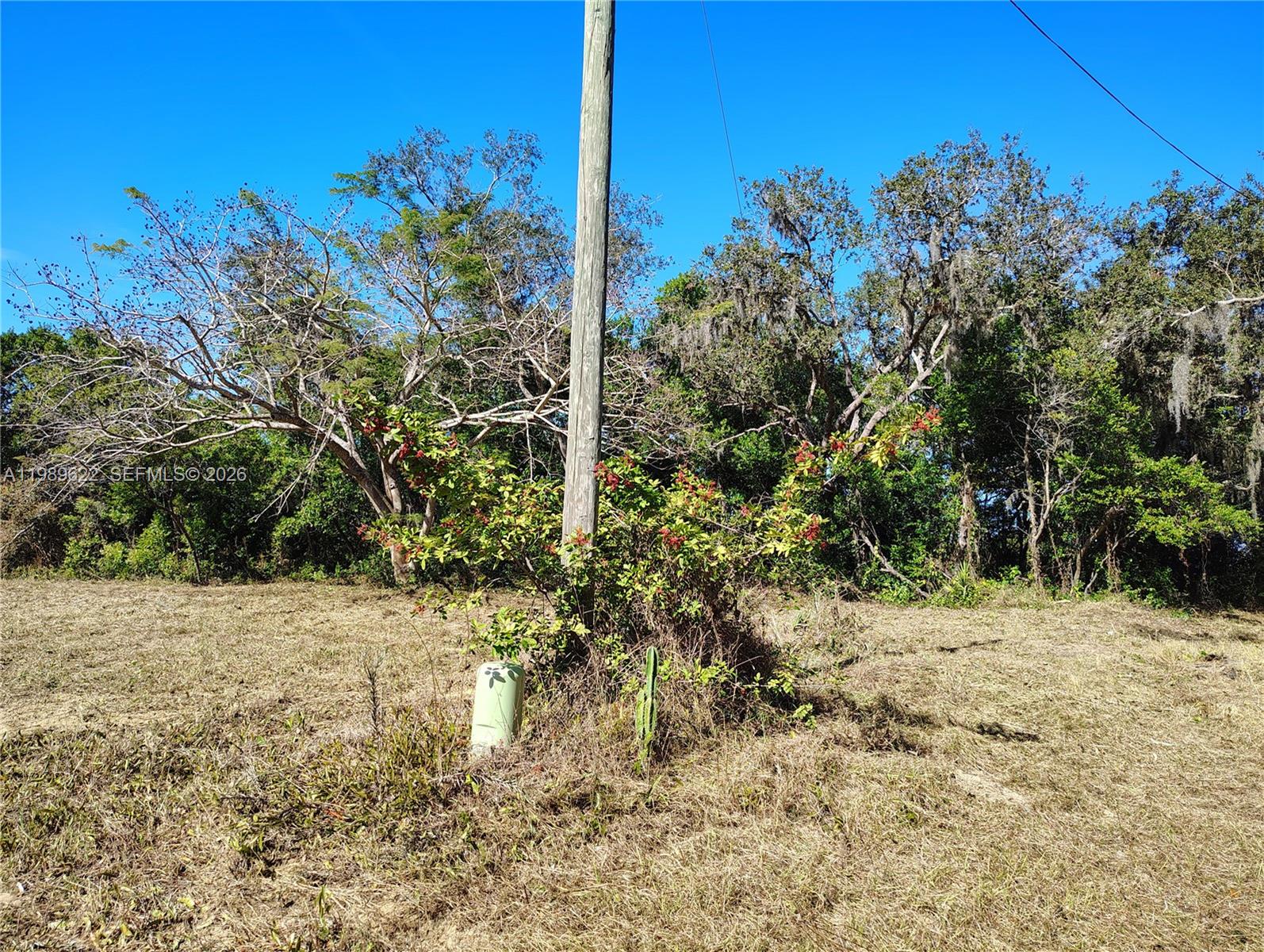 See details / sq. ft. $ 2026-03-25 0 Photo