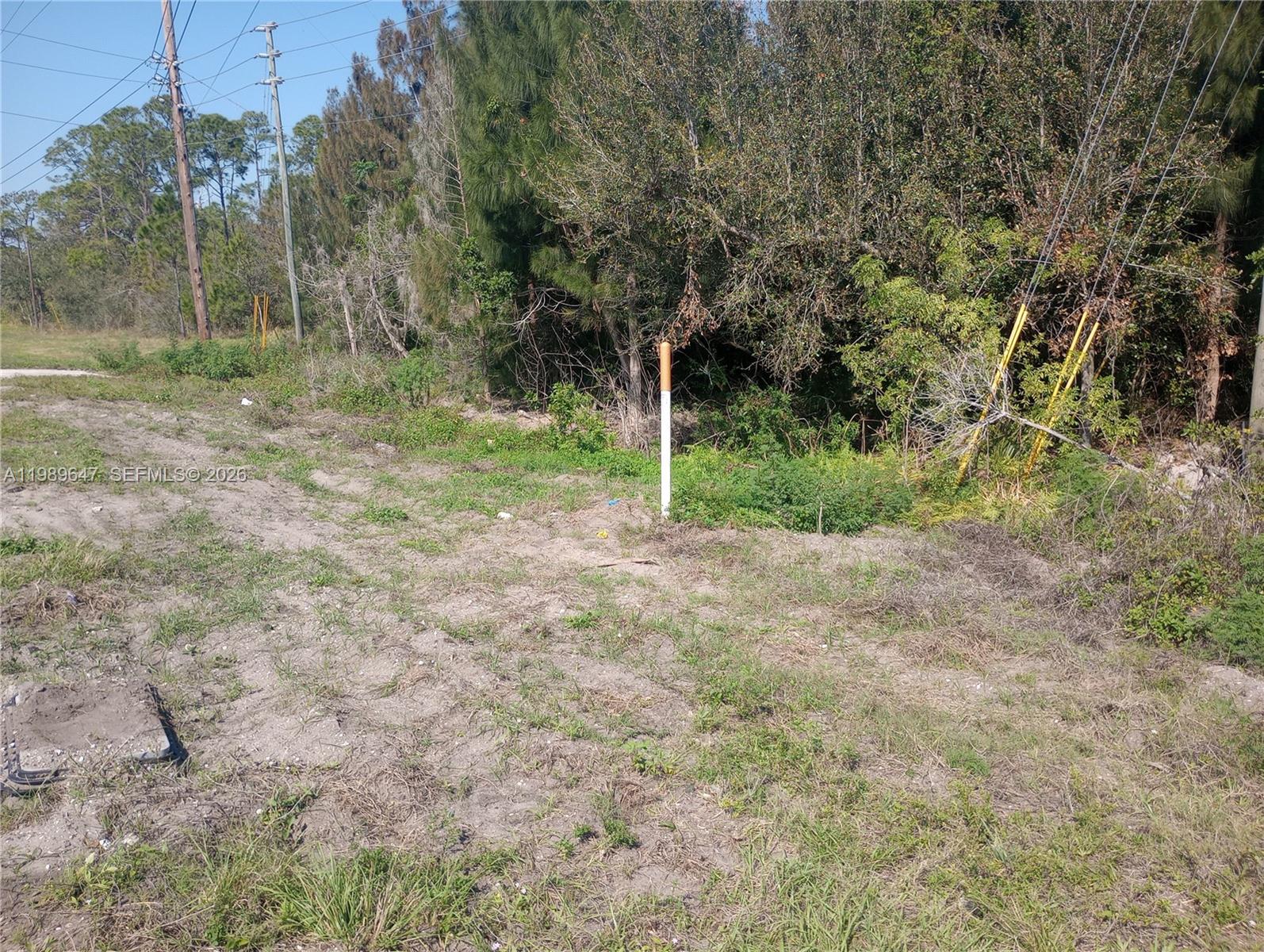 See details / sq. ft. $ 2026-03-25 0 Photo