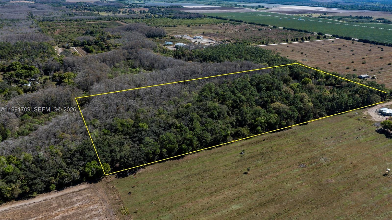 Подробнее / кв.футов $ 2026-03-30 0 Фото