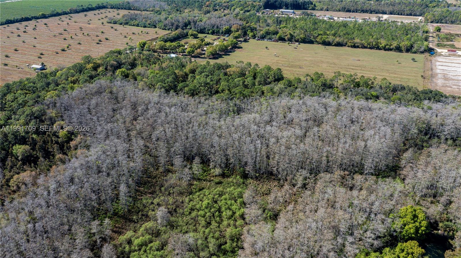 Подробнее / кв.футов $ 2026-03-30 0 Фото