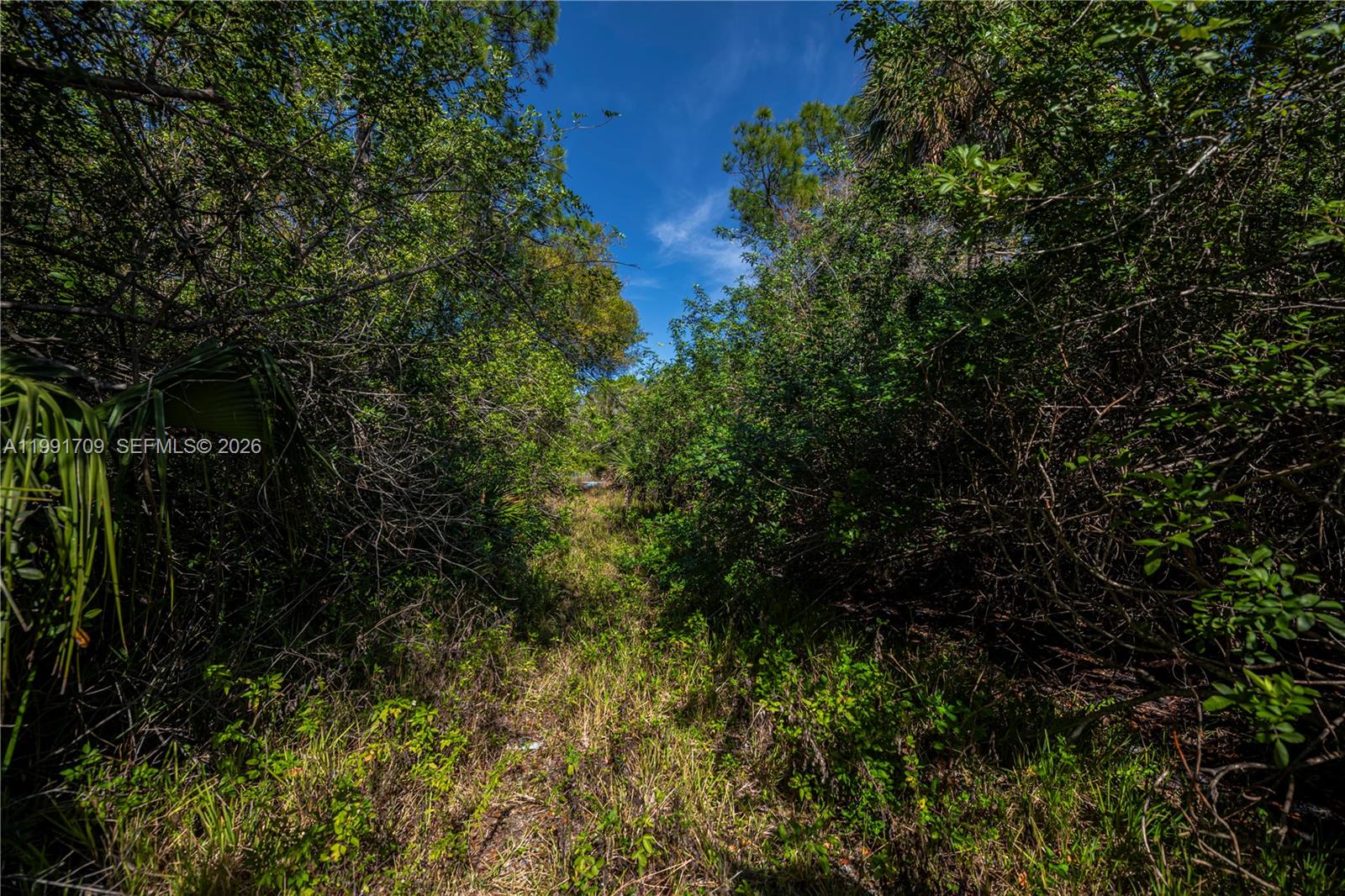 Подробнее / кв.футов $ 2026-03-30 0 Фото