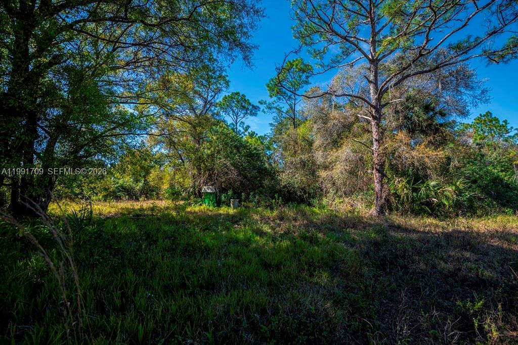 Подробнее / кв.футов $ 2026-03-30 0 Фото