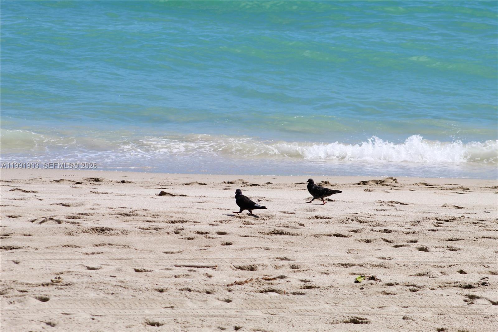 Photo of 2030 Ocean Dr  #821, Hallandale Beach, Florida, 33009 - 