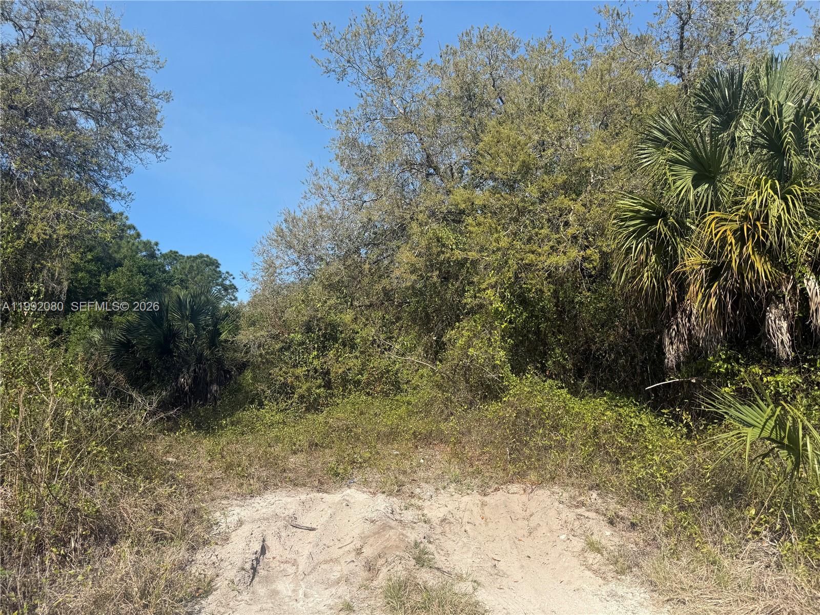   /   кв.футов $ 2026-03-31 0 Фото