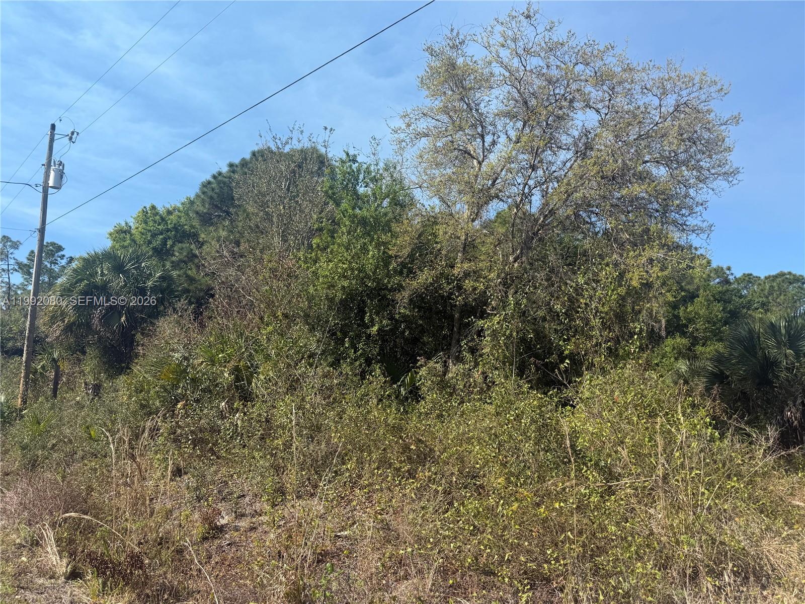   /   кв.футов $ 2026-03-31 0 Фото