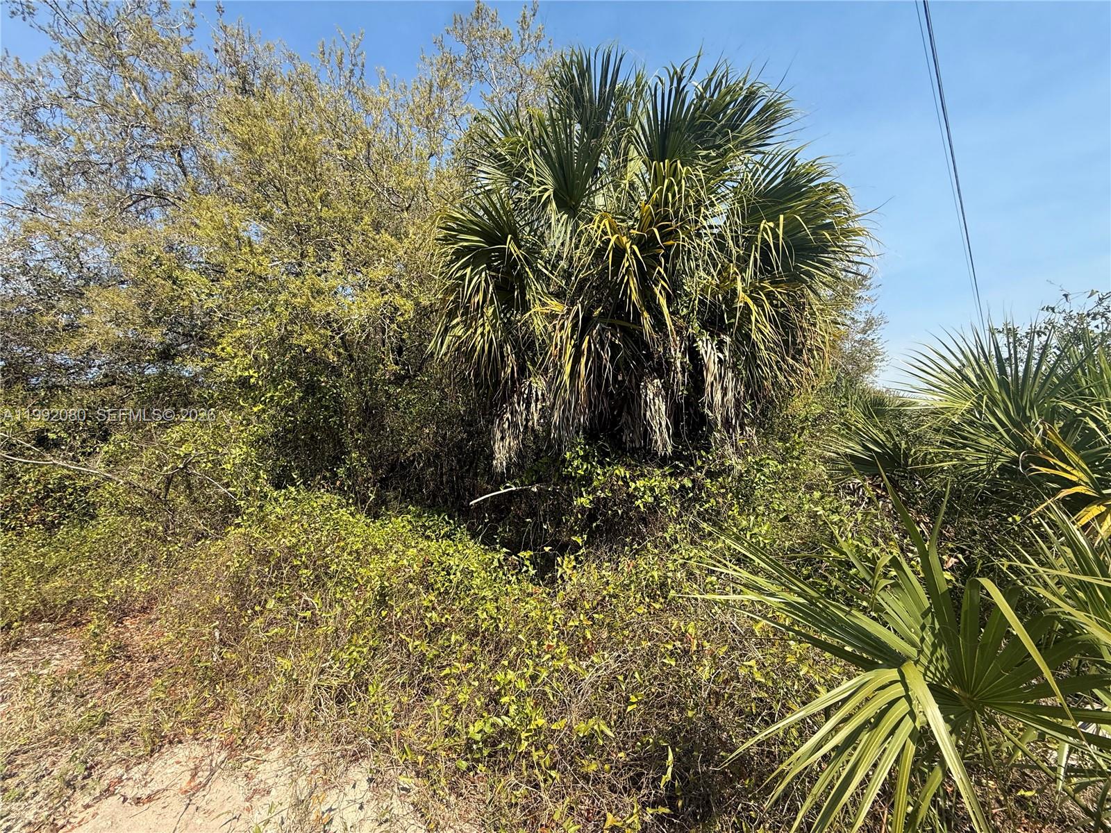   /   кв.футов $ 2026-03-31 0 Фото