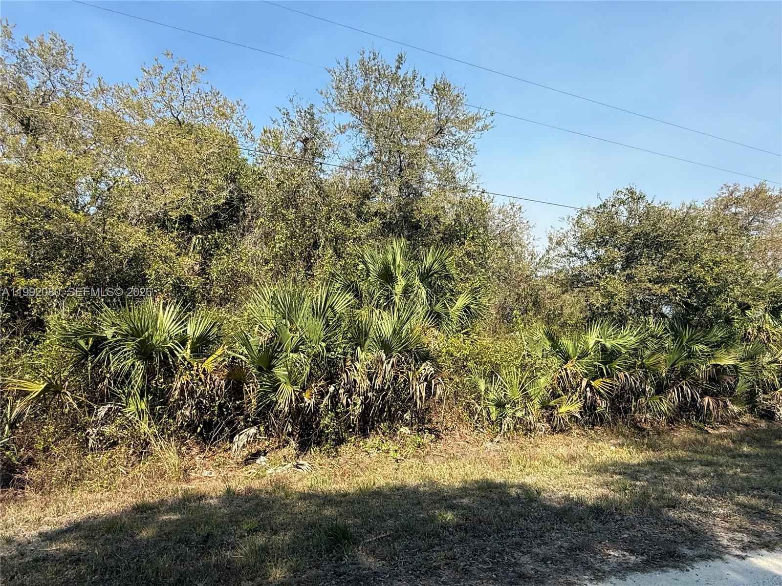   /   кв.футов $ 2026-03-31 0 Фото