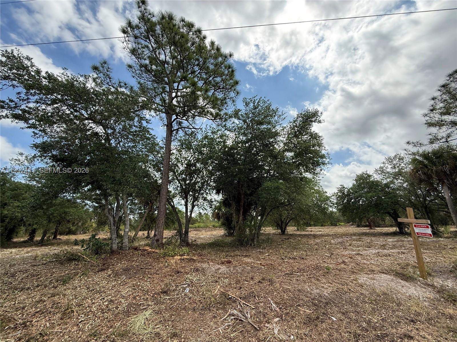   /   кв.футов $ 2026-03-31 0 Фото