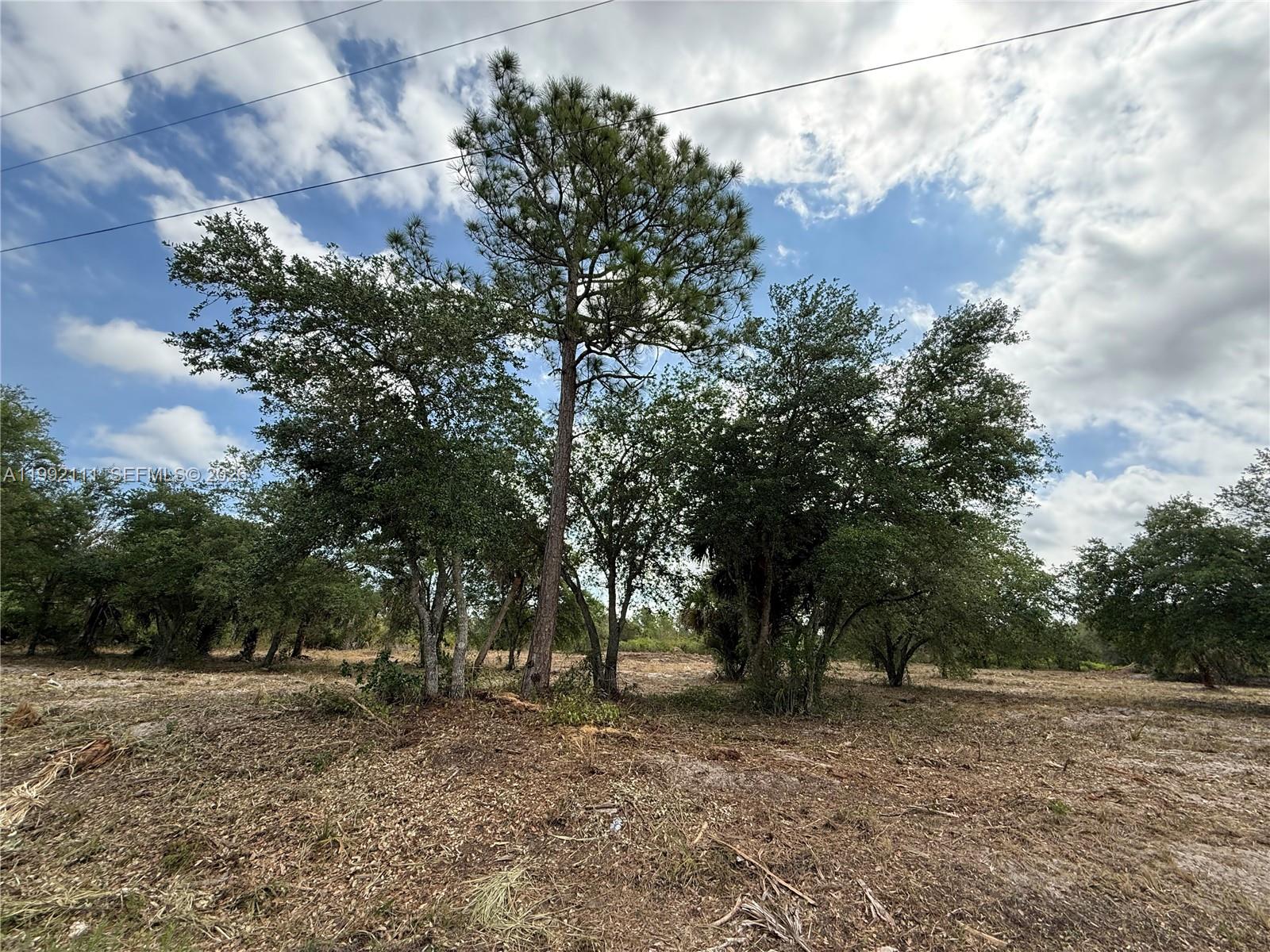   /   кв.футов $ 2026-03-31 0 Фото