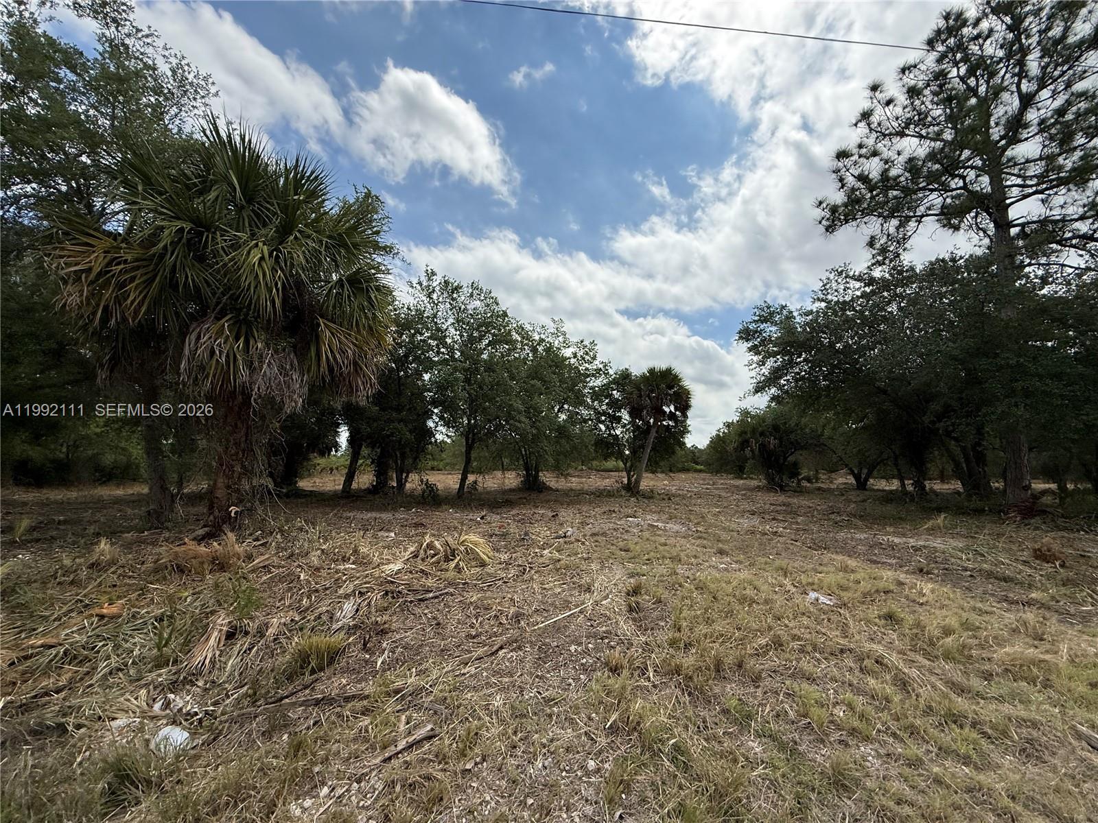   /   кв.футов $ 2026-03-31 0 Фото