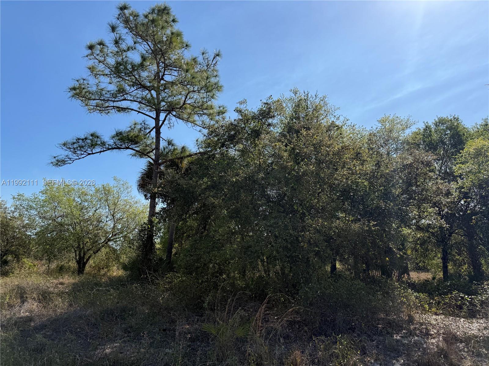   /   sq. ft. $ 2026-03-31 0 foto