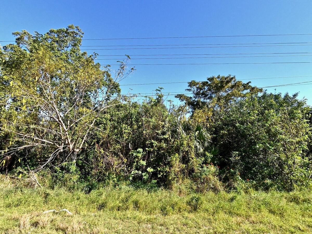   / 0  sq. ft. $ 2026-06-15 0 foto