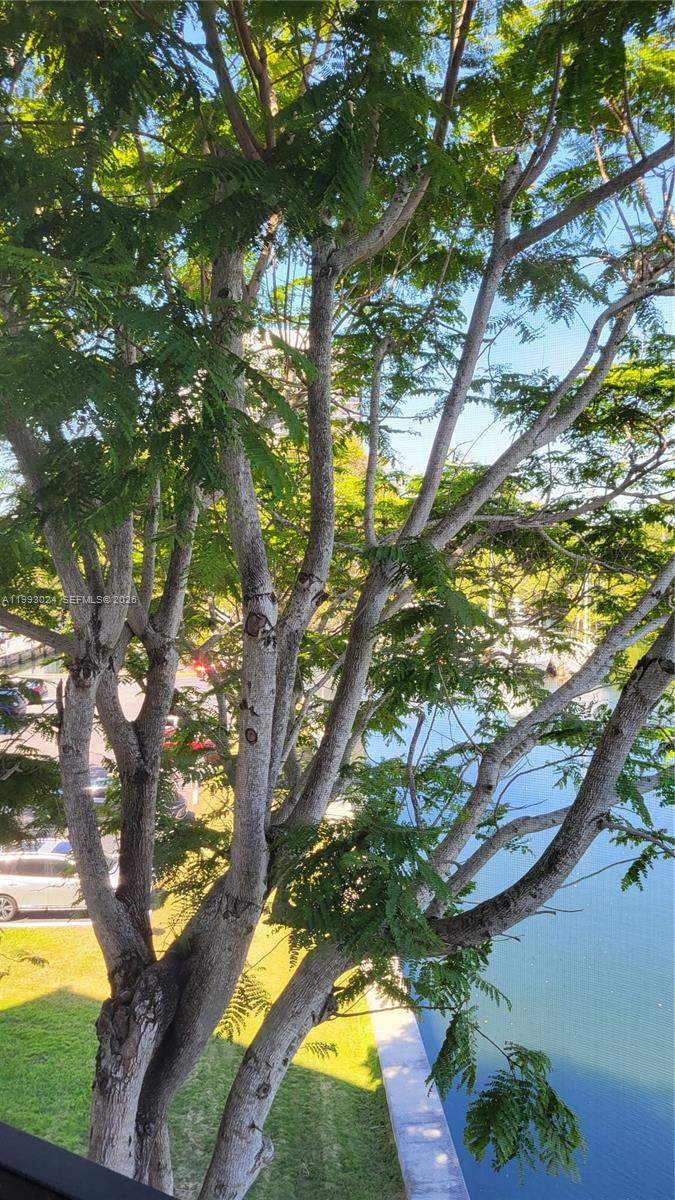 Photo of 3401 Country Club Dr  #402, Aventura, Florida, 33180 - 