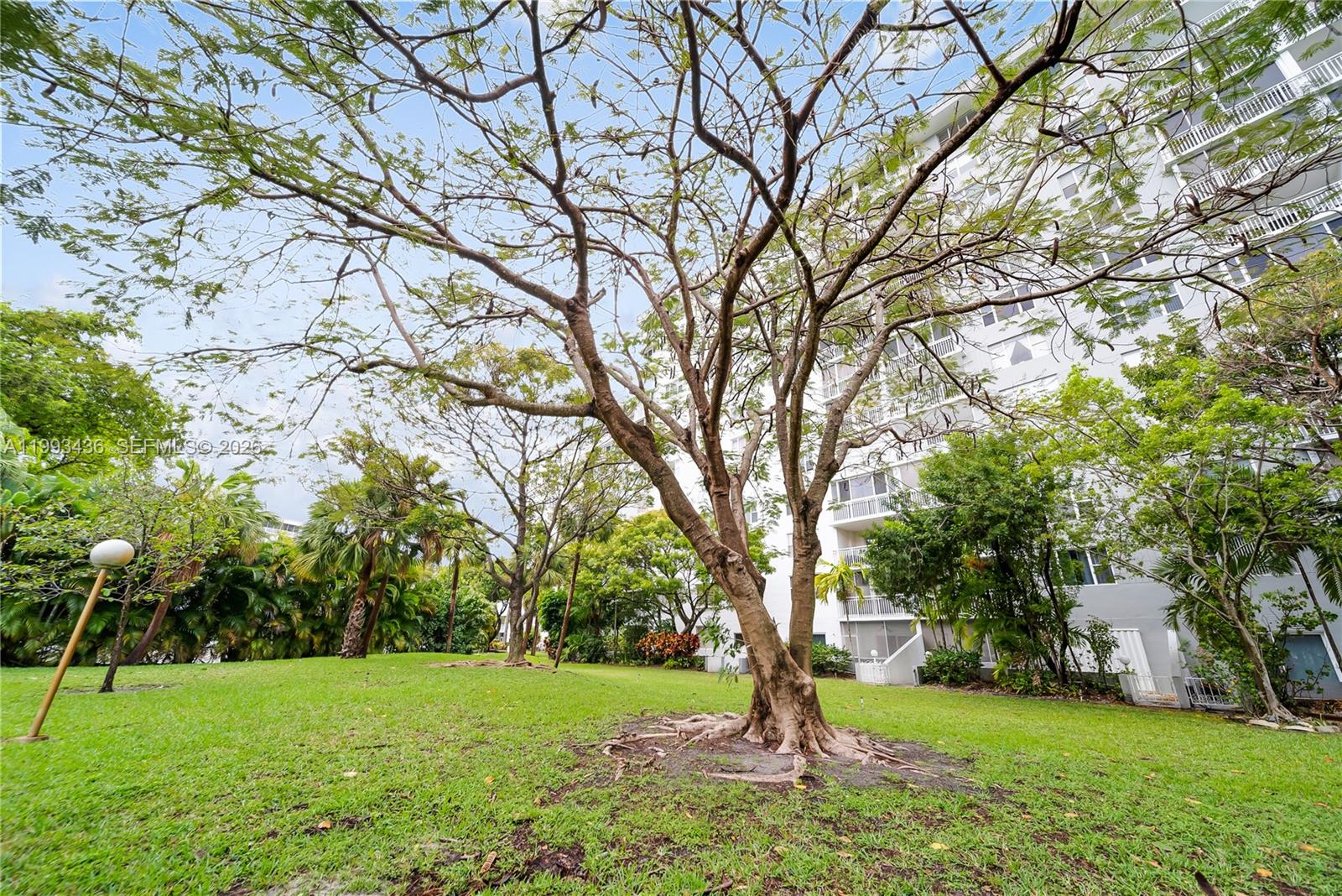 See details 1007 2 / 3 1714 sq. ft. $ 2026-04-01 0 Photo