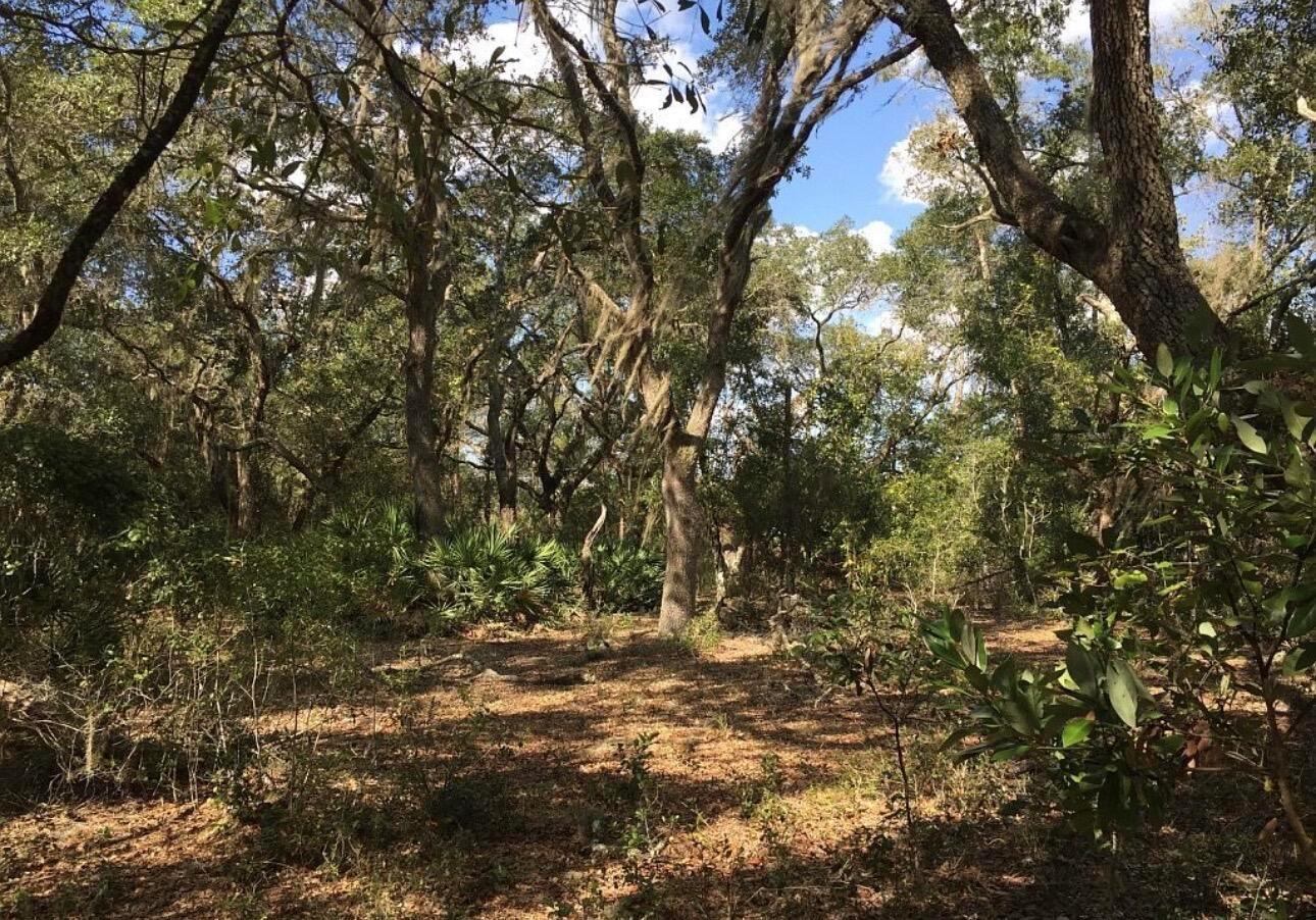   / 0  sq. ft. $ 2026-06-19 0 foto