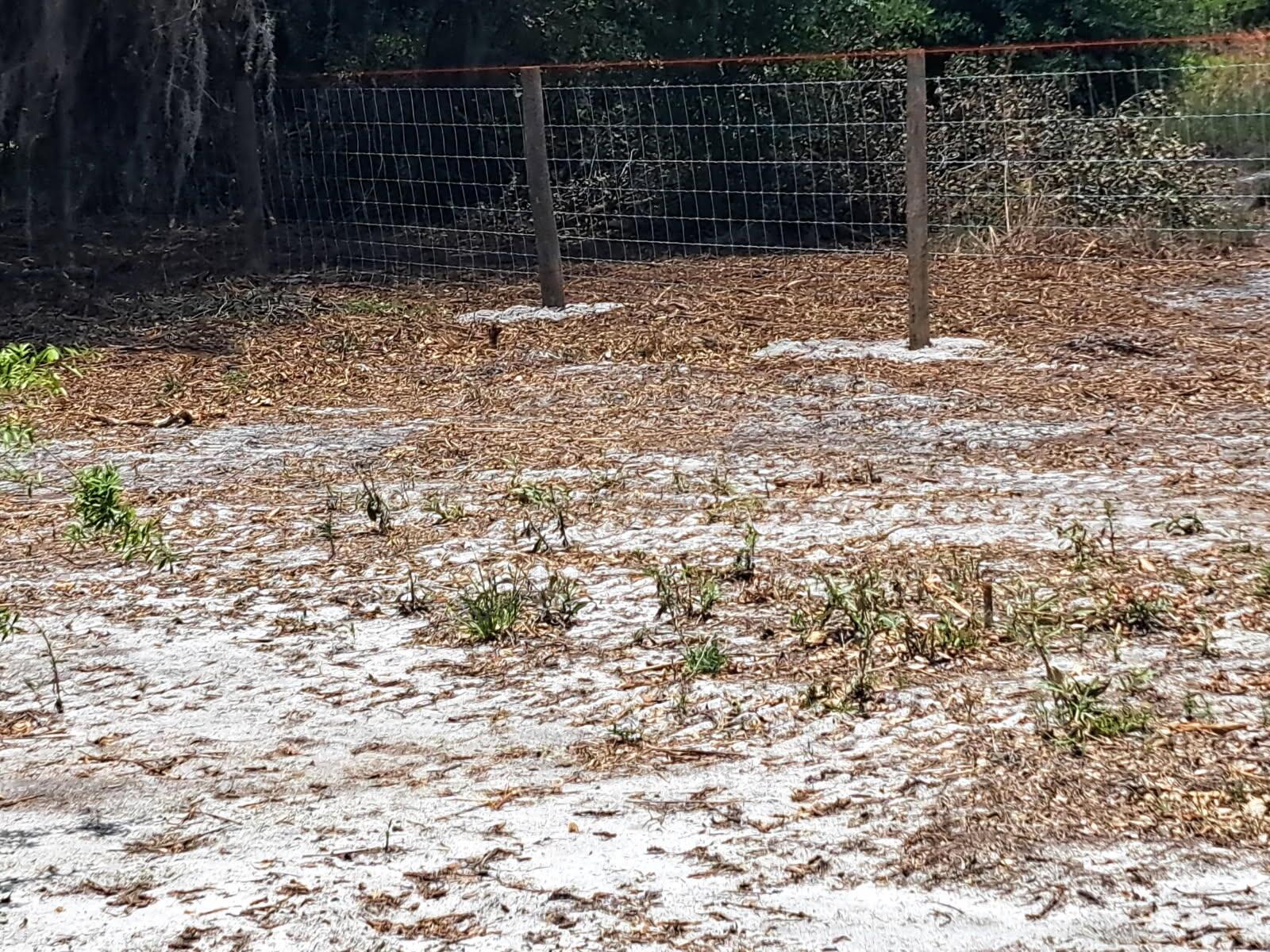 See details / 0 sq. ft. $ 2026-07-02 0 Photo