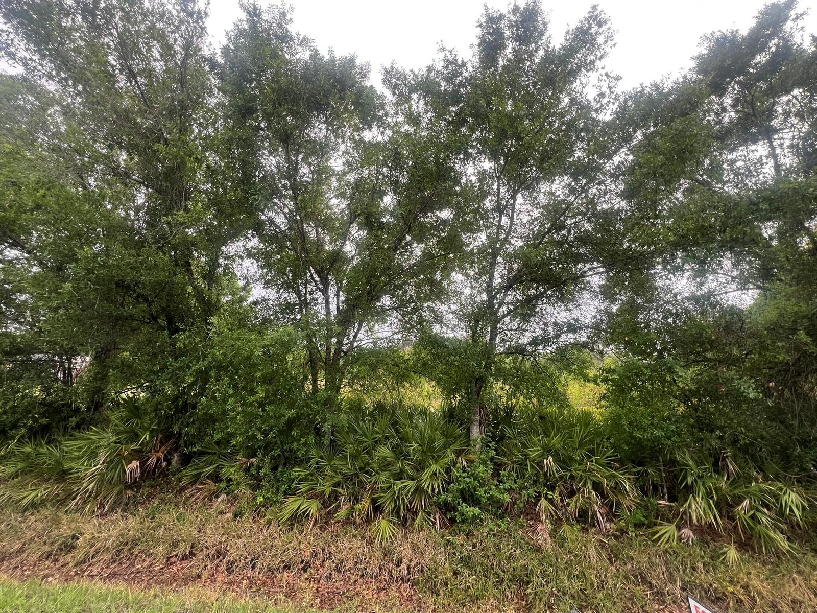   / 0  sq. ft. $ 2026-06-15 0 foto