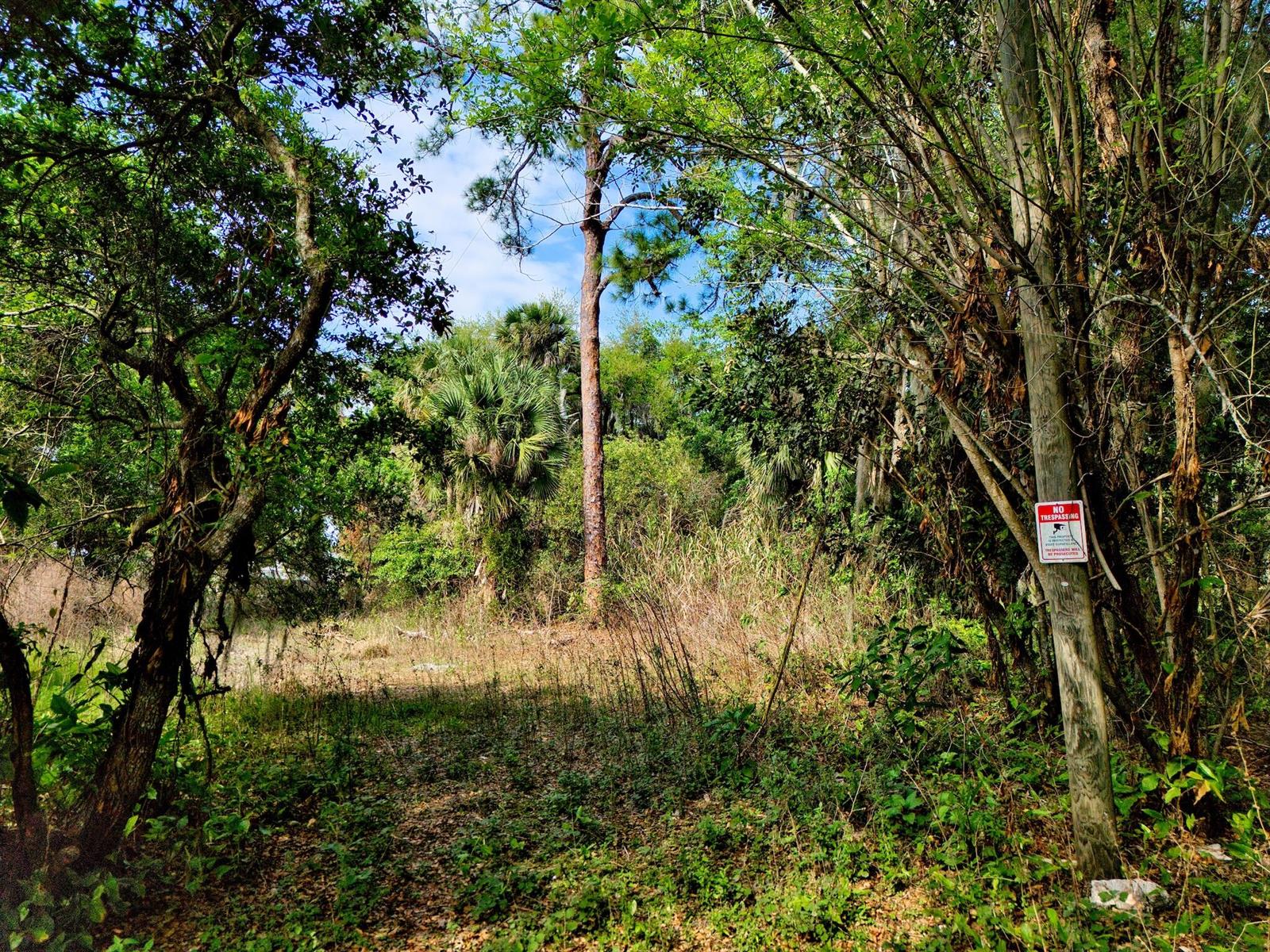   / 0  sq. ft. $ 2026-06-15 0 foto