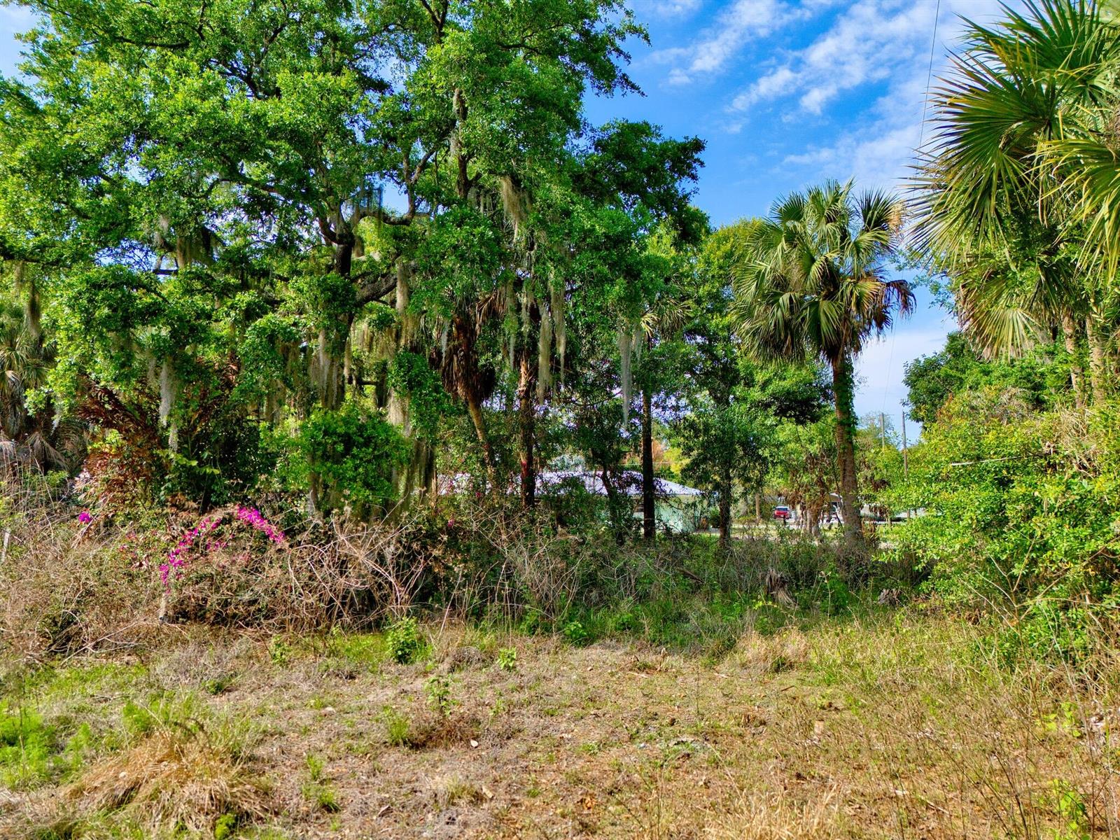   / 0  sq. ft. $ 2026-06-15 0 foto