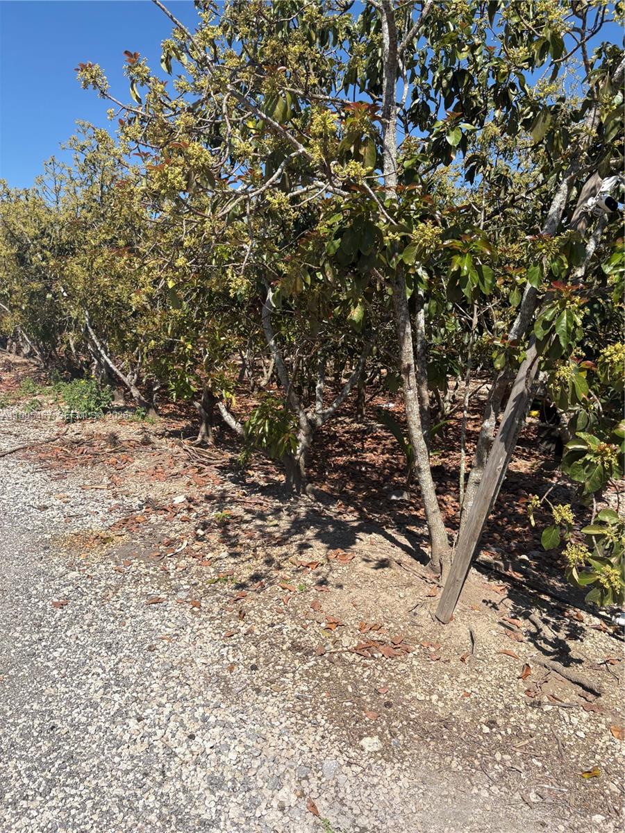   /   sq. ft. $ 2026-04-06 0 Photo