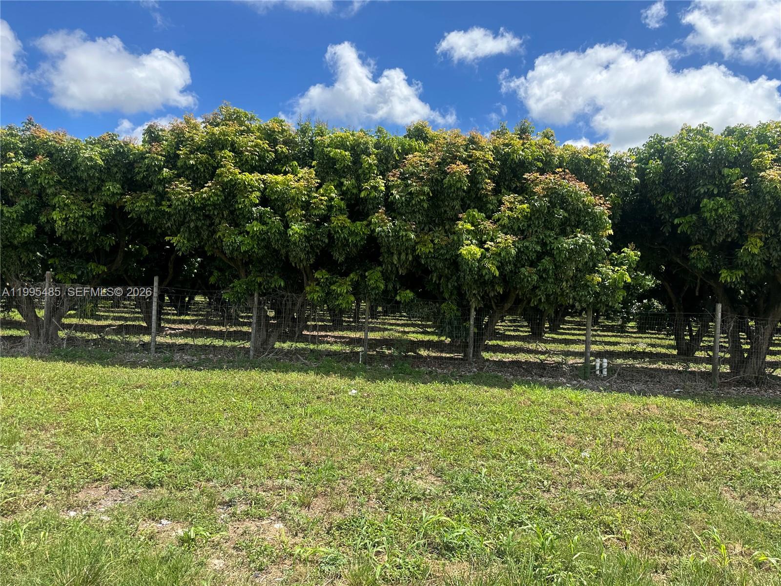   /   sq. ft. $ 2026-04-06 0 Photo