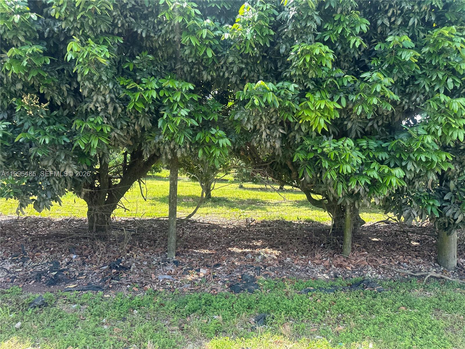   /   sq. ft. $ 2026-04-06 0 Photo