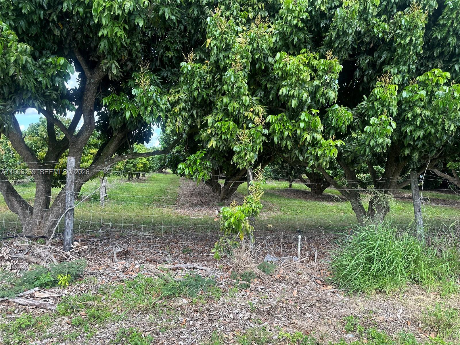   /   sq. ft. $ 2026-04-07 0 Photo