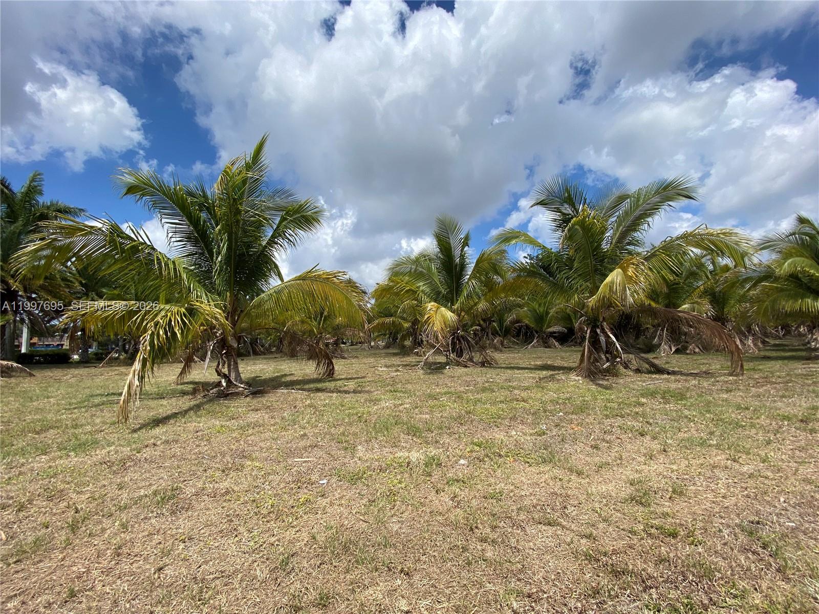   /   sq. ft. $ 2026-04-09 0 Photo